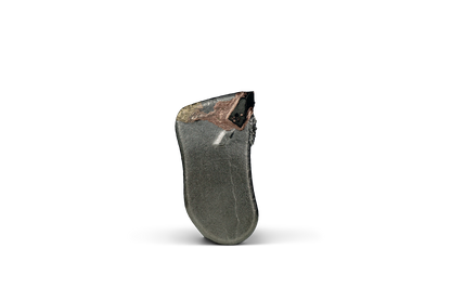 Outil HRT® adapté aux broyeurs Seppi (alternative au Mini Duo) avec revêtement WearShield® supplémentaire derrière les pointes.